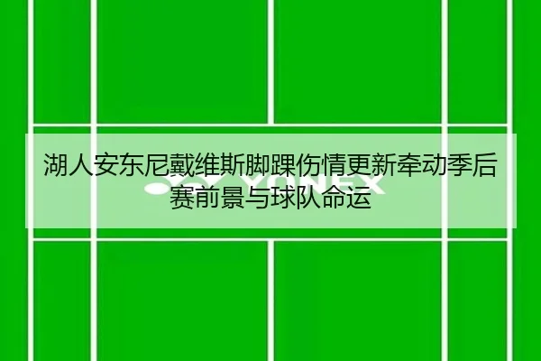 湖人安东尼戴维斯脚踝伤情更新牵动季后赛前景与球队命运